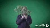 Wizzflix_ green surprise look good job GIF