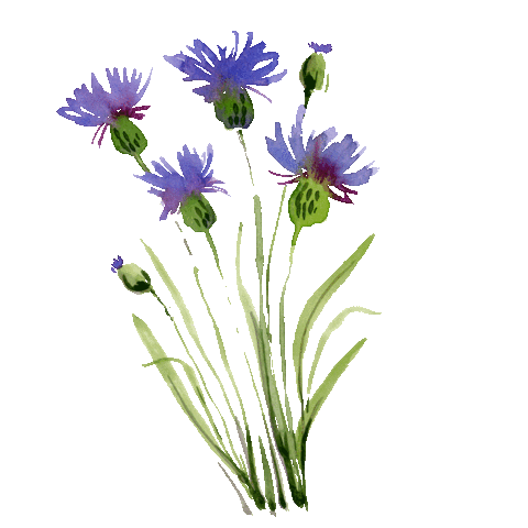 Flower Sticker by compo