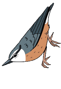 Bird Piafs Sticker
