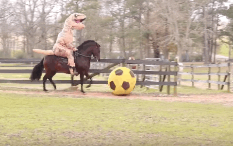 horse GIF
