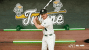 College Baseball Lambert GIF by GreenWave