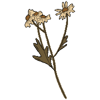 Vintage Boho Sticker by chicayeyemx