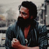 Bollywood Shahidkapoor GIF