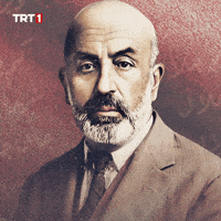 History Turkey GIF by TRT