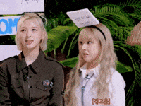 Bae GIF