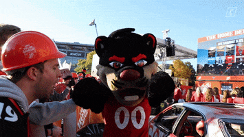 College Gameday Hype GIF by Cincinnati Bearcats