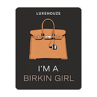 Luxehouze fashion watch luxury bag Sticker