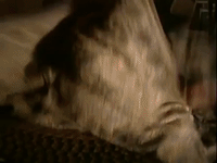 nickrewind nicksplat are you afraid of the dark the tale of the dollmaker GIF