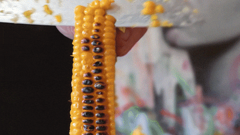Chinese Soup GIF by Sixty Kitchen
