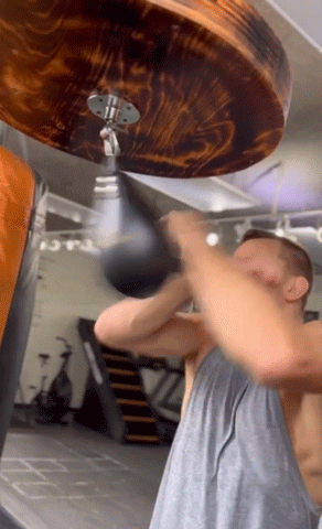 georgesrushstpierre giphyupload ufc mma boxing GIF