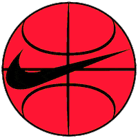 Dirk Nowitzki Basketball Sticker by Nike Berlin