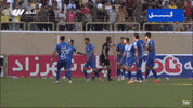 Afc Taj GIF