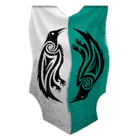 Flag Floating Sticker by Assassin's Creed
