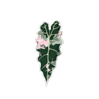 Plant Sticker by Hankō