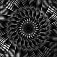 Black And White Art GIF by xponentialdesign