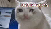 Meme Wow GIF by Tokkingheads