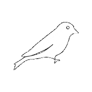 birdcreekroofing roofing roofer bcr roofingcompany Sticker