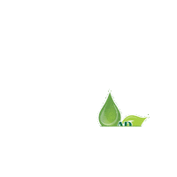 Green Sticker by CSI