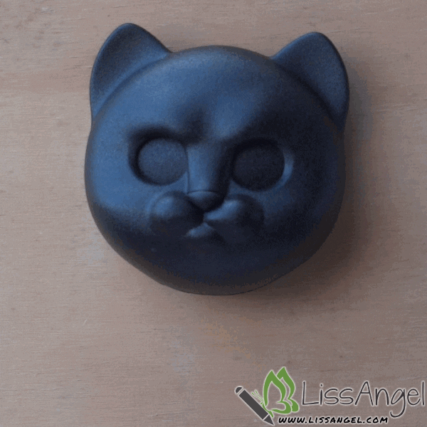 LissAngel giphyupload cat animals cats GIF
