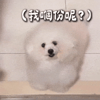 Der GIF