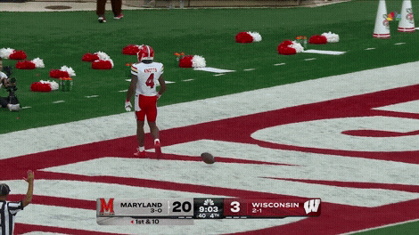 Terps Football Touchdown GIF by Maryland Terrapins