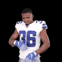 Dallas Cowboys Football GIF by NFL