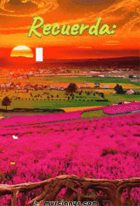 Recuerda El Tiempo GIF by Murcianys LLC