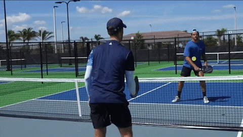 aforziati giphyupload pickleball fast hands pickleball volley GIF