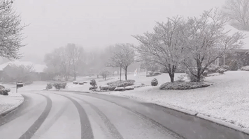 Snow Falling at 'Crazy Rate' Covers Knoxville, Tennessee