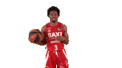 Liga Endesa Basketball Sticker by ACB