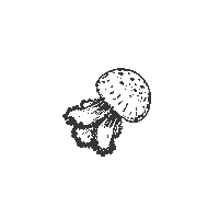 Ocean Whale Sticker by GOT BAG