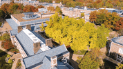 Fall College GIF by Washington University in St. Louis