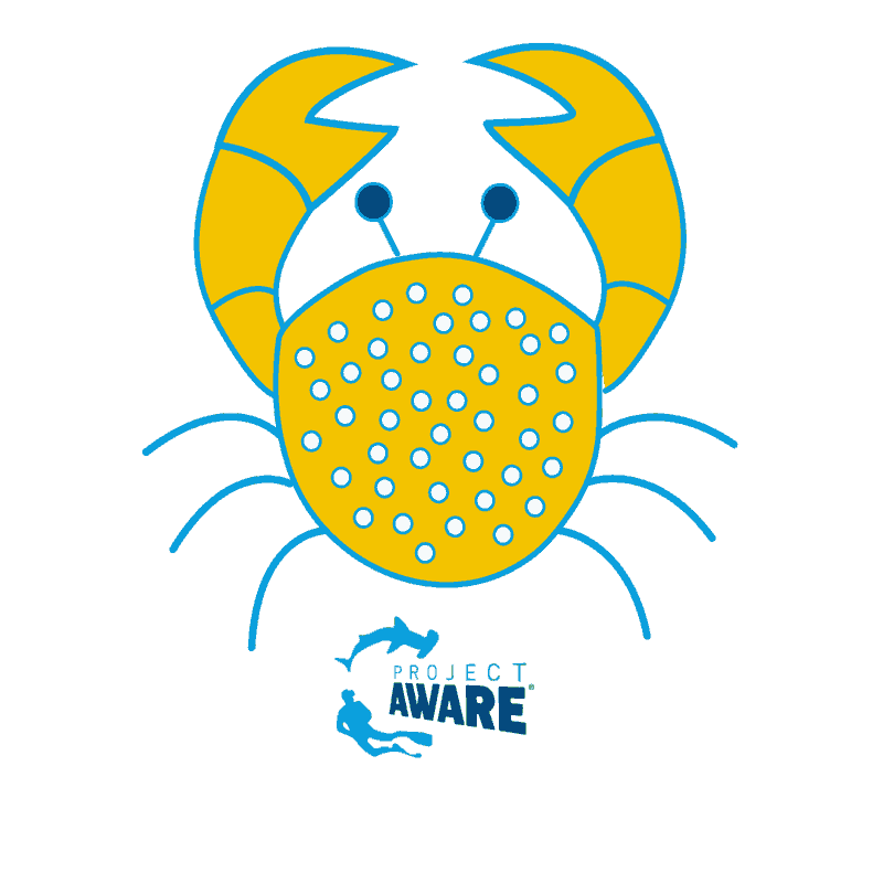 Sea Creature Ocean Sticker by Project AWARE