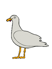 Confused Bird Sticker by TripSurfer