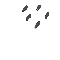 Rain Sticker