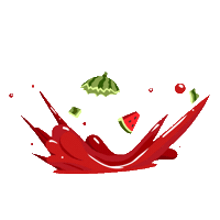 Bread Watermelon Sticker by Bake 'n Switch