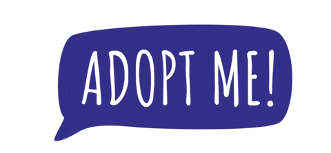 Sticker by Furkids Animal Rescue and Shelters