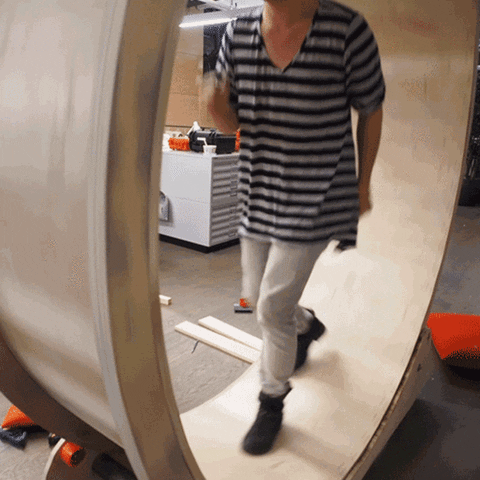 hamster GIF