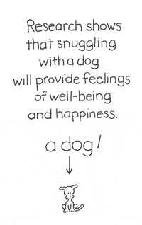 GIF by Chippy the dog