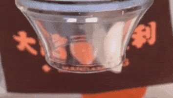 LKPM giphygifmaker GIF