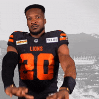 British Columbia Football GIF by BC Lions