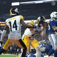 Sport Celebration GIF by Pittsburgh Steelers