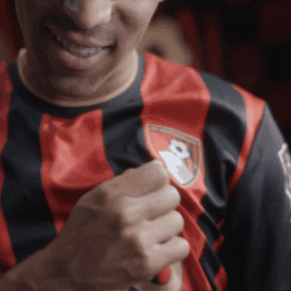 Happy Premier League GIF by AFC Bournemouth
