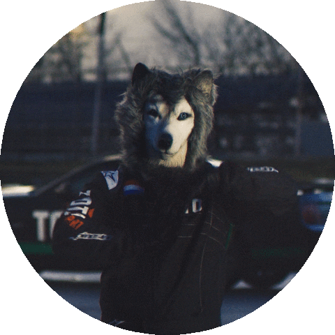 Formula 1 Sport Sticker by Toto