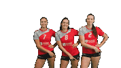 tbasvvolleyball volleyball damen1 regenstauf tbasv Sticker
