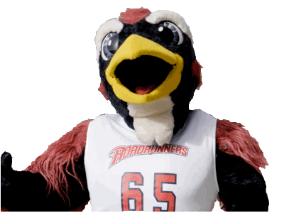 metropolitan state university of denver what Sticker by Rowdy the Roadrunner