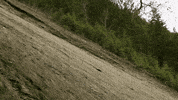 builder GIF by EchoBoom Sports