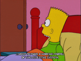 bart simpson GIF