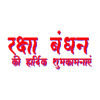 Raksha Bandhan Hindi Sticker