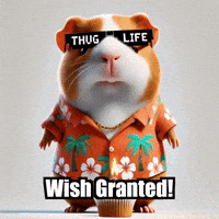 Fun Party GIF by Guinea Gambino
